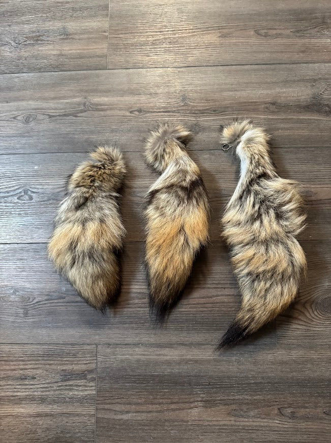 Coyote Tails