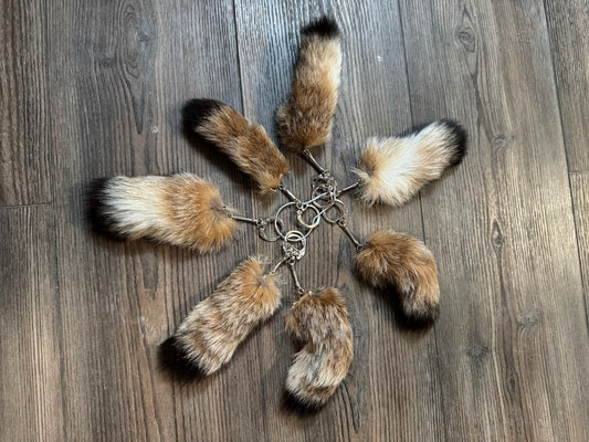 Bobcat Tails
